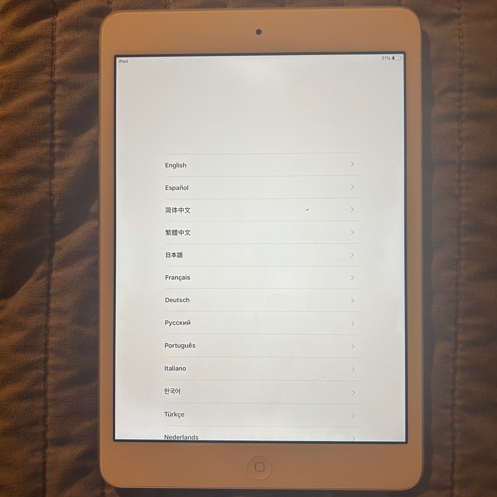 IPad mini